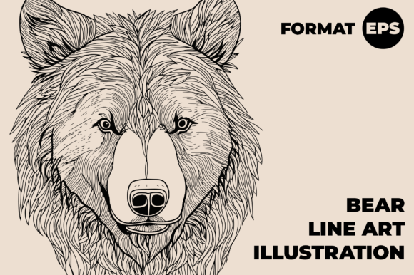 Download Bear Line Art - Art Collection