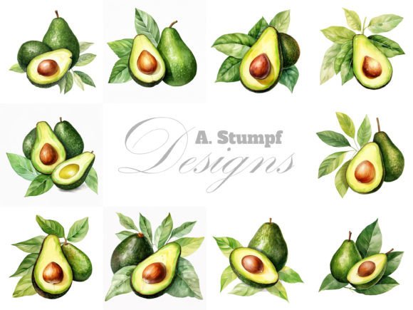 Download Avocado Watercolor Fruit Clipart Set - Art Collection