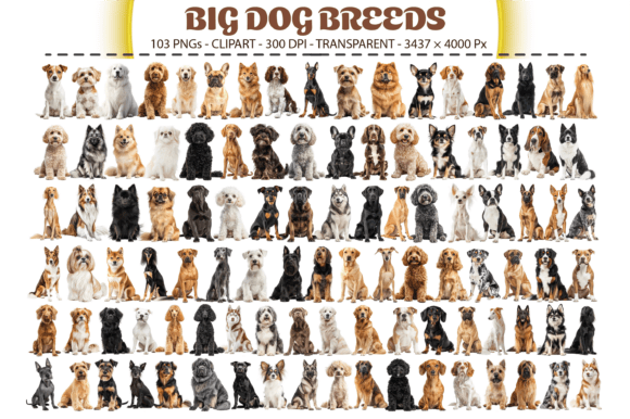 Download Big Dog Breeds Clipart – 103 PNGs - Art Collection