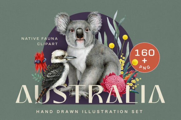 Download Australia Fauna Watercolor Clipart - Art Collection