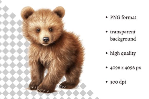 Download Watercolor Baby Bear PNG Clipart - Art Collection
