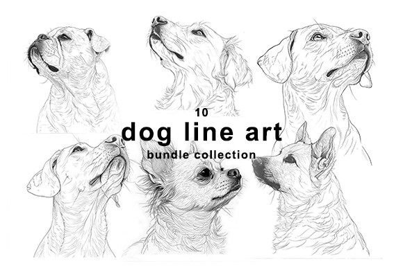 Download Dog Line Art Bundle Collection - Art Collection