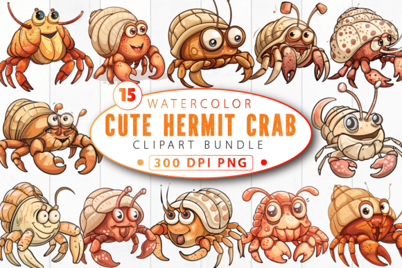 Download Funny Cute Hermit Crab Clipart Bundle - Art Collection
