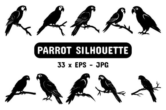 Download Parrot Silhouette Set Collection Bundle - Silhouette Collection