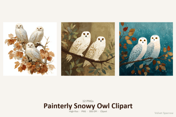 Download Painterly Snowy Owl Clipart - Art Collection