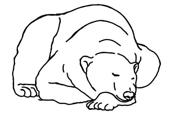 Download Sleeping Polar Bear Line Art Vector - Art Collection