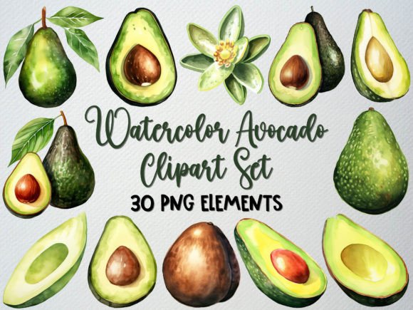 Download Watercolor Avocado Clipart Set, 30 PNG - Art Collection